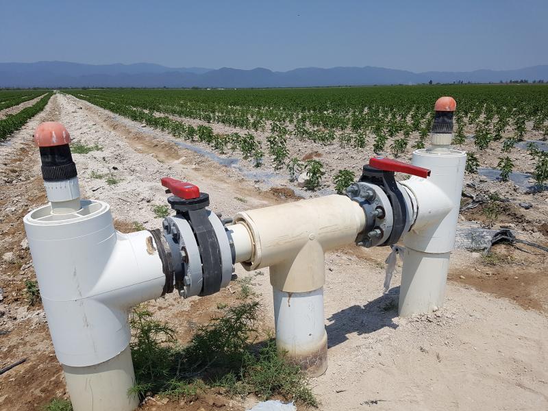 Los pozos y los sistemas de riego son por goteo totalmente equipados